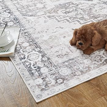 jinchan Area Rug 3x5 Persian Rug Indoor Entryway Vintage Rug